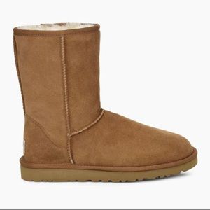 UGG Classic Short Boot (Chestnut)
